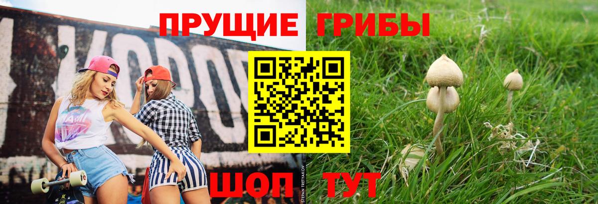 Галлюциногенные грибы Psilocybe Донецк