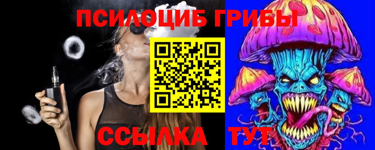 Донецк  Галлюциногенные грибы прущие грибы  Вход с VPN  купить  цена  Галлюциногенные грибы Psilocybe 